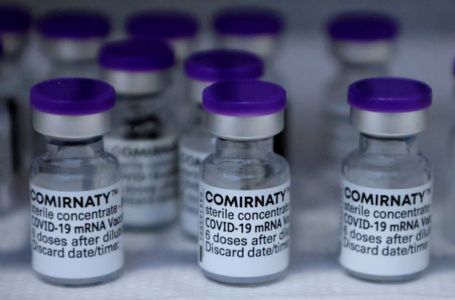 SCANDALO – Regolatori dei farmaci non hanno convalidato studi Pfizer prima di approvare il vaccino