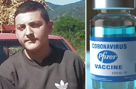 Elias Georgakopoulos: 15 anni perfettamente sano, muore 3 giorni dopo aver ricevuto il vaccino Pfizer COVID-19, il fratello racconta