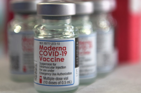 Dichiarazione EMA dopo lo stop al vaccino Moderna per i giovani in Svezia e Danimarca: “Probabili maggiori rischi cardiaci dopo la seconda  dose”