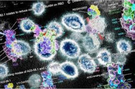 Gli scienziati identificano la super immunità naturale SARS-CoV-2 contro 23 varianti