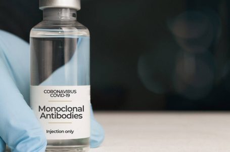 COVID-19: l’EMA raccomanda l’autorizzazione di due medicinali a base di anticorpi monoclonali