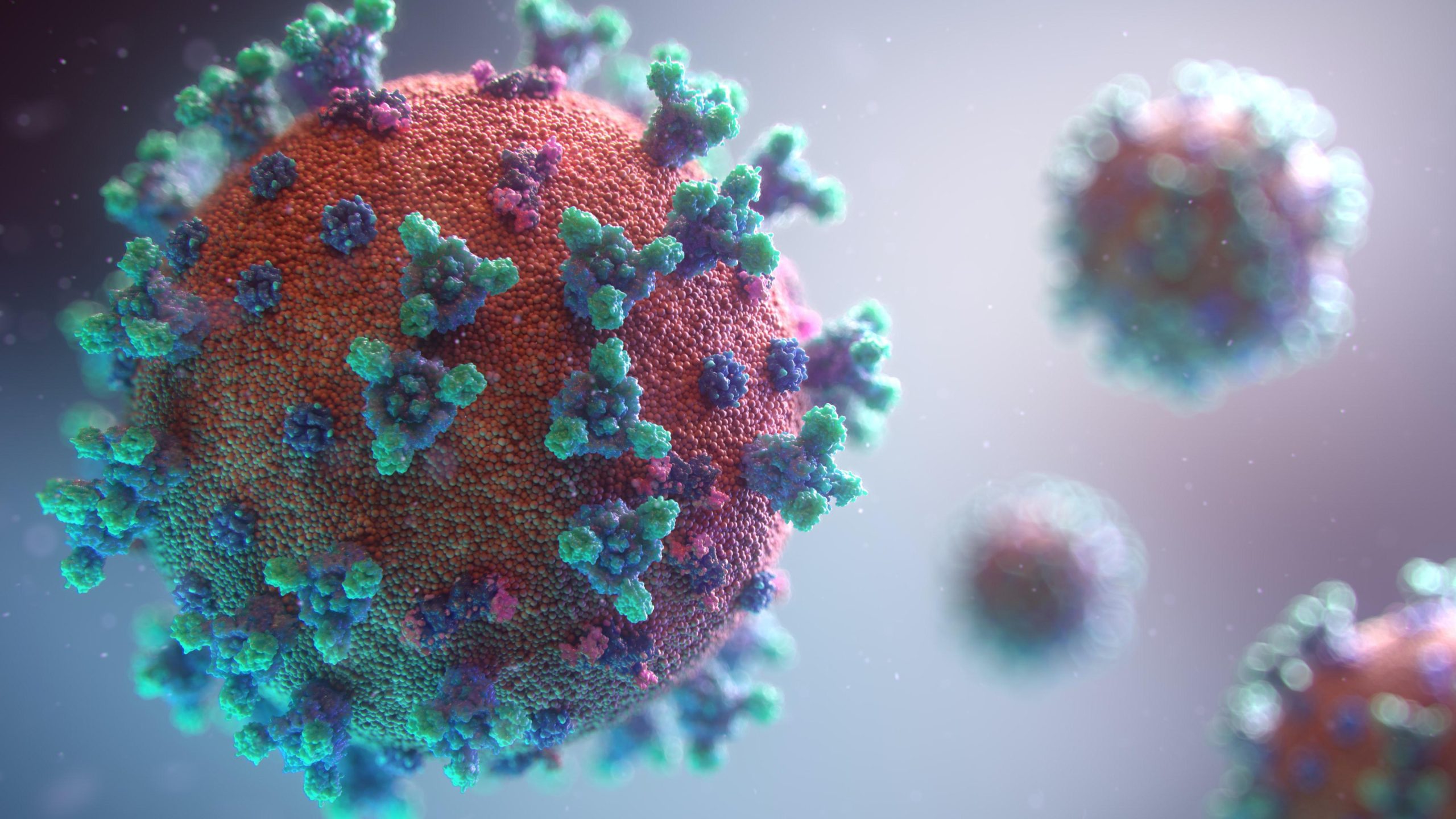 Il numero di diagnosi confermate in Giappone è diminuito drasticamente. Lo studio rileva che il coronavirus muore dopo una nuova mutazione “nsp14”