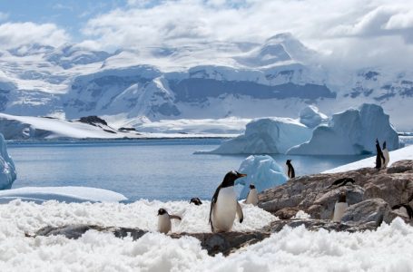 Focolaio di Omicron in Antartide: ricercatori completamente vaccinati presso la remota stazione polare infetti nonostante le  rigorose precauzioni