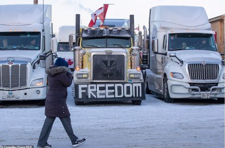 “Freedom Convoy” un convoglio di 70 km.  50.000 camionisti canadesi per la libertà di scelta. FOTO e VIDEO