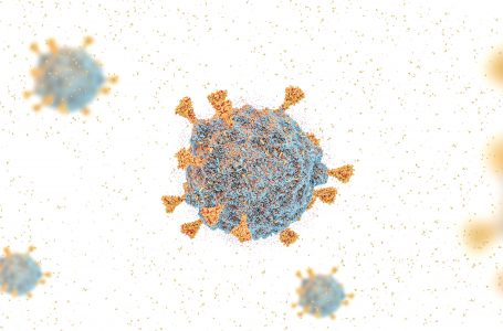 “Prove dell’immunità naturale negli adulti sani non vaccinati fino a 20 mesi dopo l’infezione confermata da COVID-19”- STUDIO