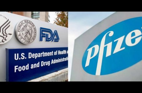 FDA finalmente OBBLIGATA al rilascio dei dati sulla sicurezza del vaccino Pfizer