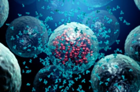 Due studi pubblicati su PubMed spiegano chiaramente che le vaccinazioni con mRNA Covid 19 alterano e sopprimono completamente il sistema immunitario