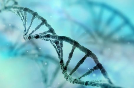 Uno studio dell’Università di Lund in Svezia mostra “che il vaccino mRNA di Pfizer può essere trascritto in modo inverso nel DNA”
