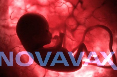 Sì, Novavax ha utilizzato HEK293, una linea cellulare proveniente da feti abortiti