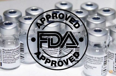 Documenti Pfizer appena rilasciati da FDA: BioNTech ha pagato $ 2.875.842 per l’approvazione del vaccino COVID-19