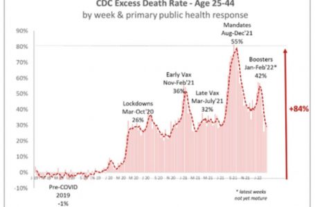 Dati CDC: cosa sta uccidendo i millennials? Aumento dell’80% della mortalità in eccesso in questa fascia di età