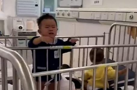 Shanghai strappa i bambini positivi al coronavirus alle famiglie. L’orrore della  brutale politica ZERO-Covid. FOTO-VIDEO