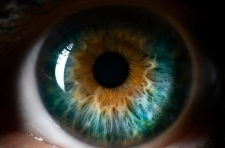 L’alta incidenza di ictus come evento avverso può spiegare perché così tanti problemi oculari, inclusa la cecità