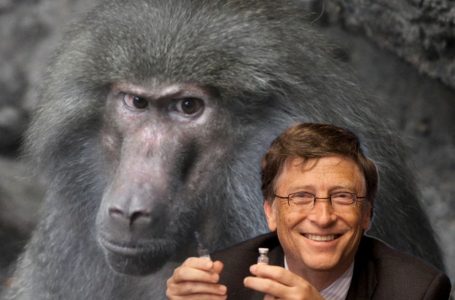 Vaiolo delle scimmie emergenza inaspettata? Lo sapevate che esiste già un vaccino approvato…nel 2019? Indovinate chi c’è dietro…