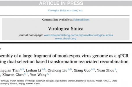 L’Istituto di virologia di Wuhan ha recentemente assemblato il genoma del virus del VAIOLO DELLE SCIMMIE. Ci risiamo?