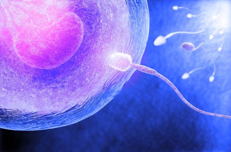Nanoparticelle lipidiche, mRNA, PEG: ASSALTO al concepimento naturale, gestazione e nascita