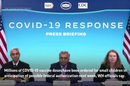 Il panel dell’ FDA raccomanda ufficialmente i vaccini Moderna e Pfizer COVID-19 per bambini di appena 6 mesi
