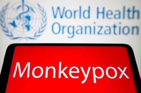 L’Organizzazione Mondiale della Sanità afferma che il vaiolo delle scimmie non è un’emergenza sanitaria globale… Per il momento
