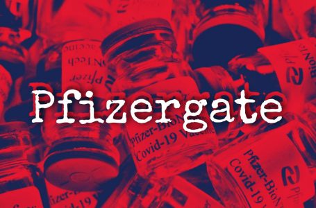 Nuovo rilascio dei documenti Pfizer di giugno 2022- TUTTI I FILE DA SCARICARE