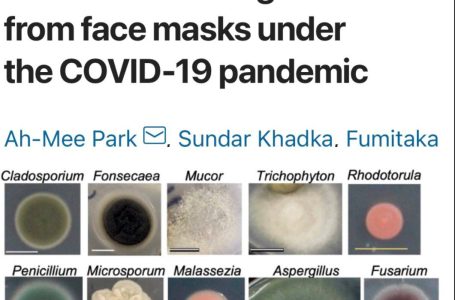 Nuovo studio pubblicato su Nature: le mascherine un crogiolo di funghi e batteri patogeni