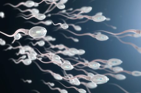 Il Regno Unito vieta l’ inoculazione ai bambini – Indagini rilevano danni allo sviluppo sessuale, alla qualità dello sperma e funzione dei testicoli