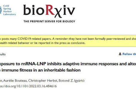 Le nanoparticelle lipidiche che trasportano l’mRNA inibiscono e alterano la risposta immunitaria (il disturbo potrebbe essere trasmesso alla prole!)- STUDIO preprint