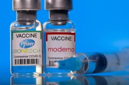 Finalmente qualcuno si sveglia! In Germania la commissione sui vaccini “Stiko”, pretende i dati sui prodotti Pfizer e Moderna