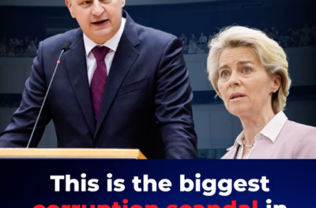 L’europarlamentare e giudice croato Kolakusic su Twitter: “L’Unione Europea ha acquistato 10 dosi per ogni cittadino. E’ il più grande scandalo della storia!”. Il VIDEO che sta facendo il giro del mondo