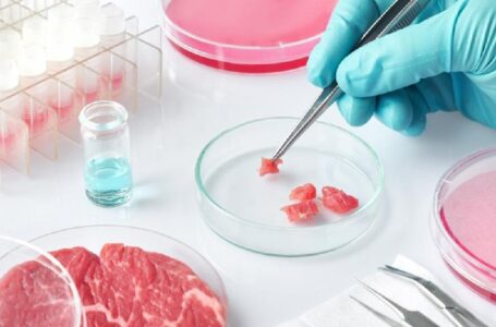 La FDA ha annunciato l’approvazione della “carne coltivata in laboratorio” dalla società UPSIDE.  Indovinate chi c’è dietro ai finanziamenti di UPSIDE?