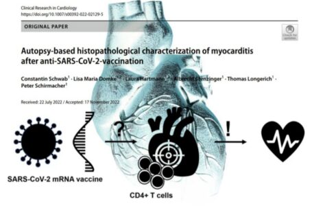 “Caratteristiche istologiche dettagliate della miocardite indotta dal V.” Nuovo STUDIO