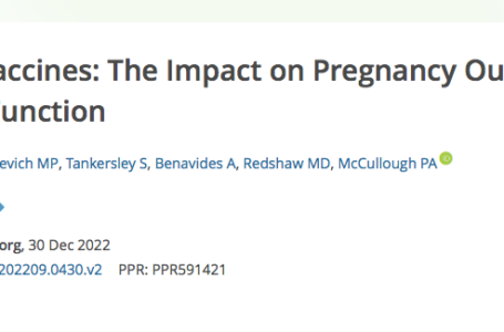 L’ultimo studio pubblicato il 30 dicembre “V. Covid 19 – l’impatto sugli esiti della gravidanza e le funzioni mestruali” fornisce ulteriori dati sui danni. Richiesta moratoria