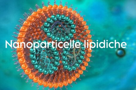 “Le nanoparticelle possono attraversare la placenta e indurre l’apoptosi del trofoblasto”. Cosa significa? Ve lo spieghiamo – STUDIO