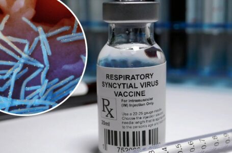 L’UE approva il primo vaccno contro il virus respiratorio sinciziale RSV