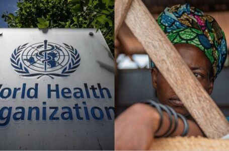 Lo scandalo degli abusi e delle violenze dell’Organizzazione Mondiale della Sanità